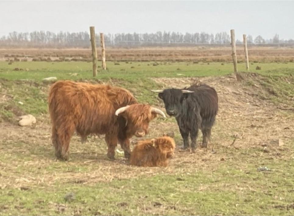 'T Huske Bed and Breakfast Werkendam Buitenkant foto